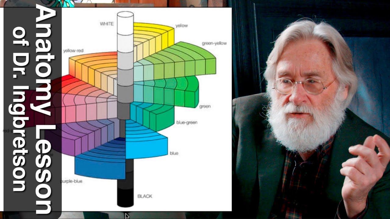 The Anatomy Lesson of Dr. Ingbretson #126