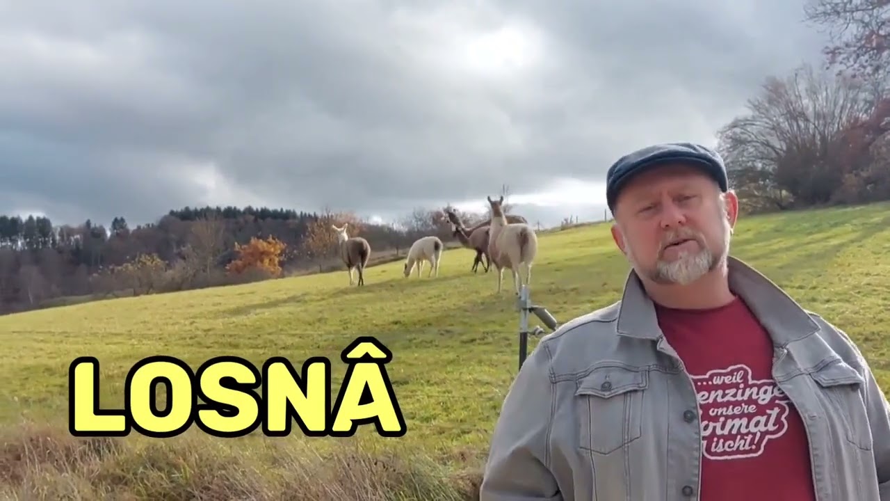 Schwäbisch lernen: "Hälengâ loschorâ ..."
