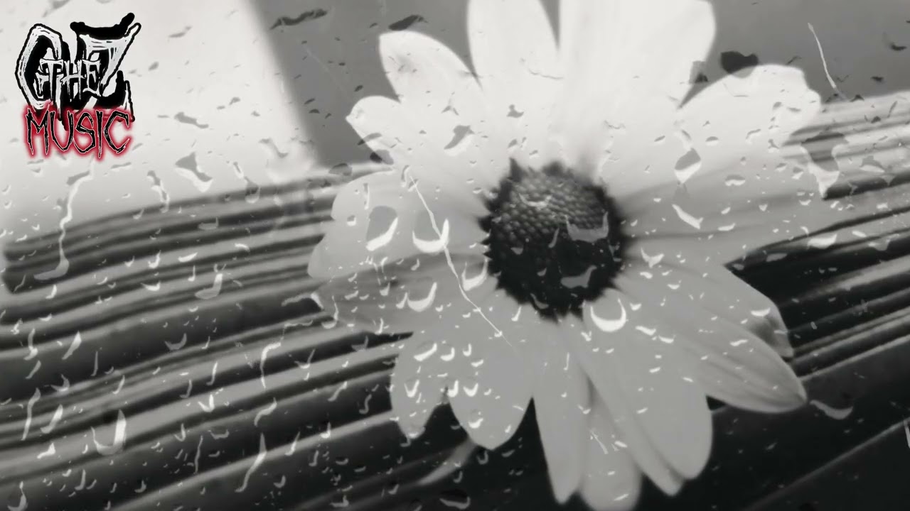 One Last Tear / Saphiell
