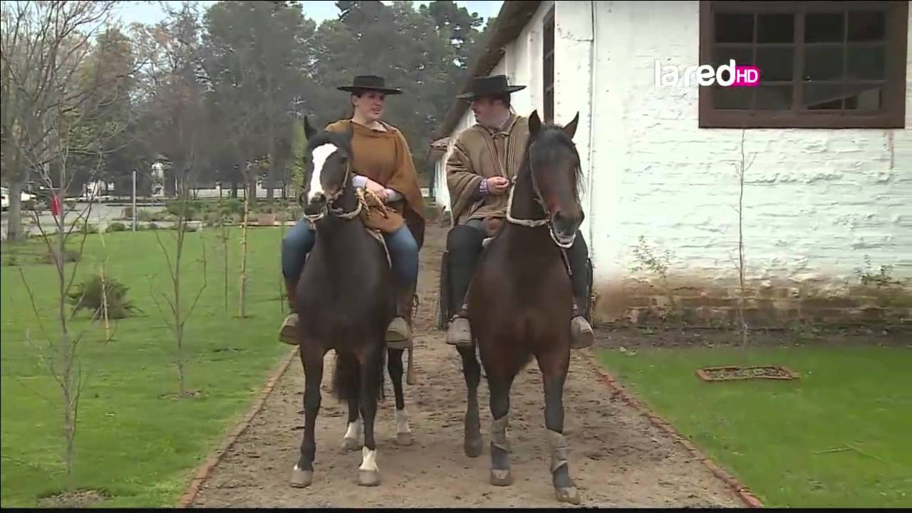 Rodeo y Chilenidad Domingo 7 de Septiembre 2014