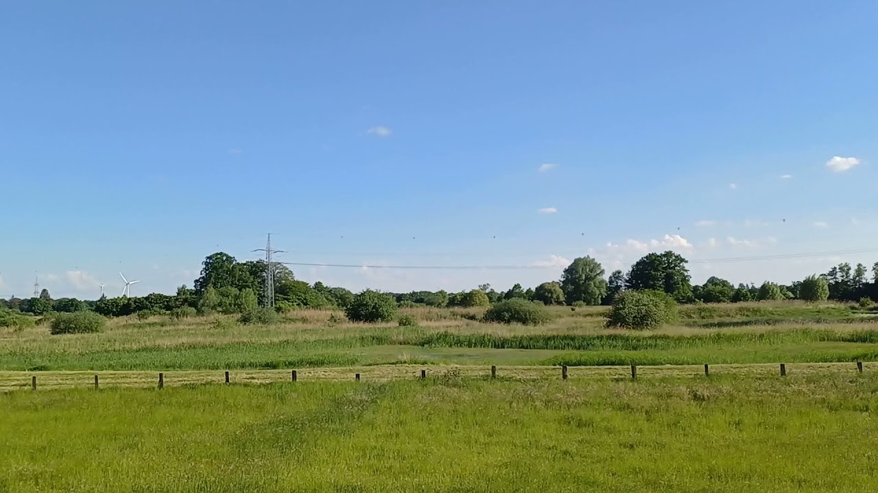 Naturschutzgebiet Rieselfelder Windel Bielefeld-Senne 14.05.2024