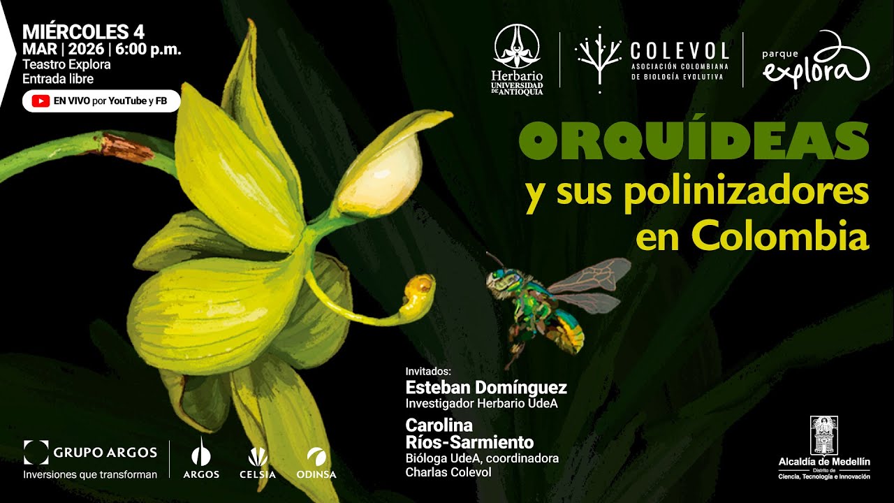Orquídeas y polinizadores en Colombia | Charlas Colevol | Parque Explora