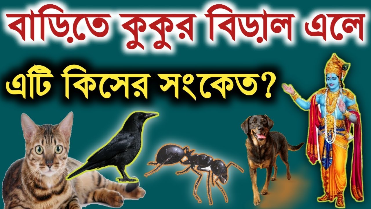 শ্রীকৃষ্ণ অনুসারে বাড়িতে কুকুর বিড়াল এলে এটি কিসের সংকেত জেনে নিন | গরুর পুরান