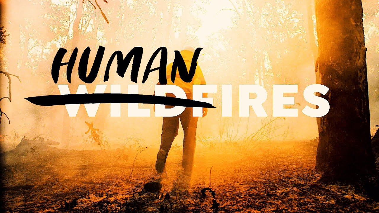 Why California's Wildfire Protection is Making it Worse