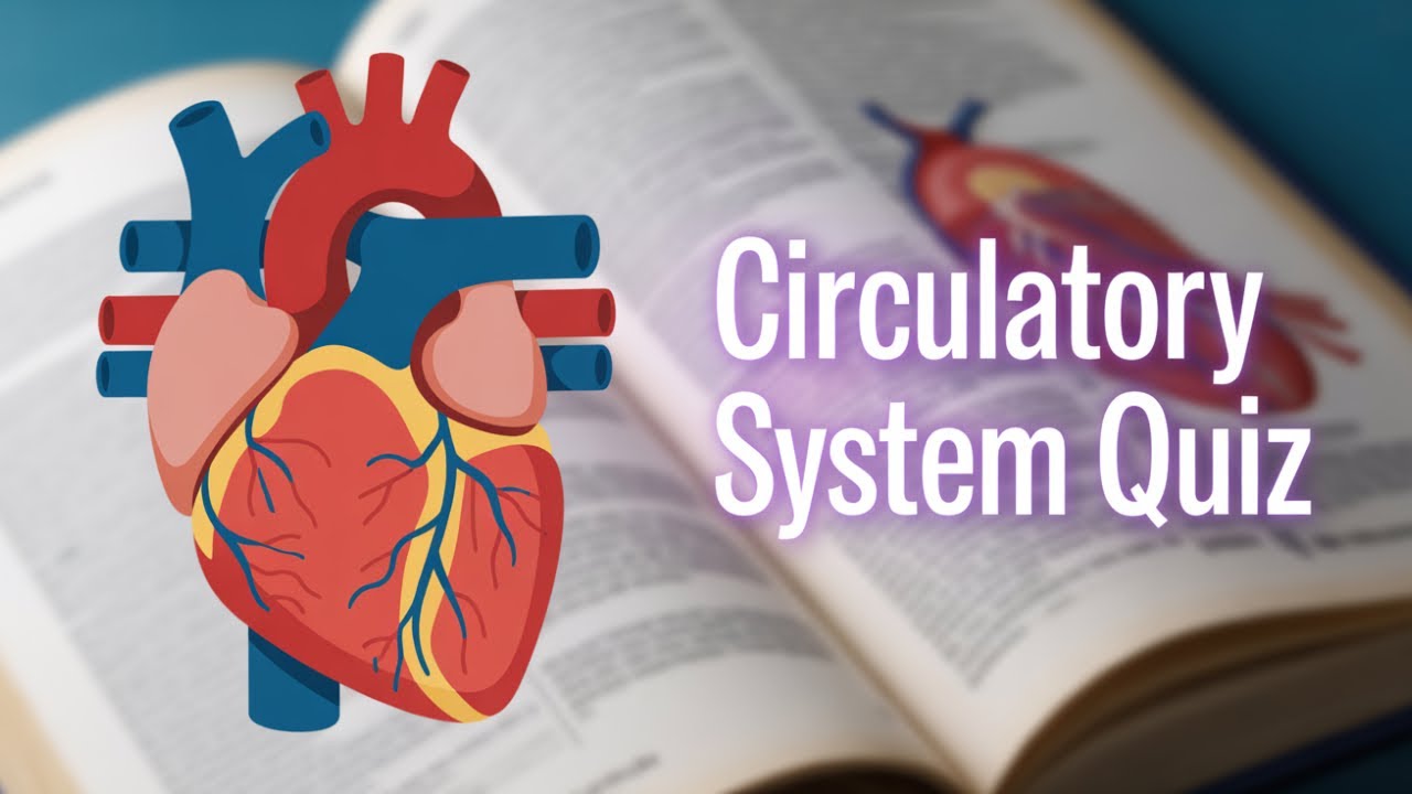 A-Level Biology Quiz | Circulatory System MCQs - 2