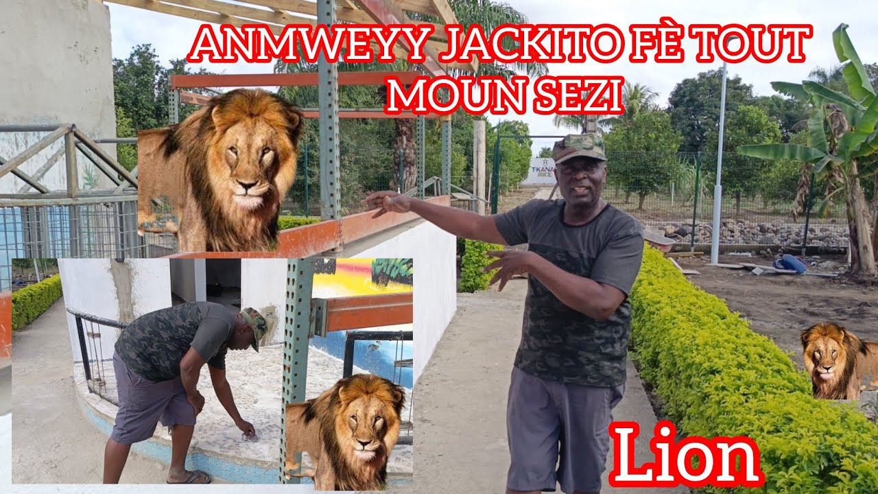 JACKITO FÈ TOUT MOUN SEZI JODIA GADON  MIRAK🙆
