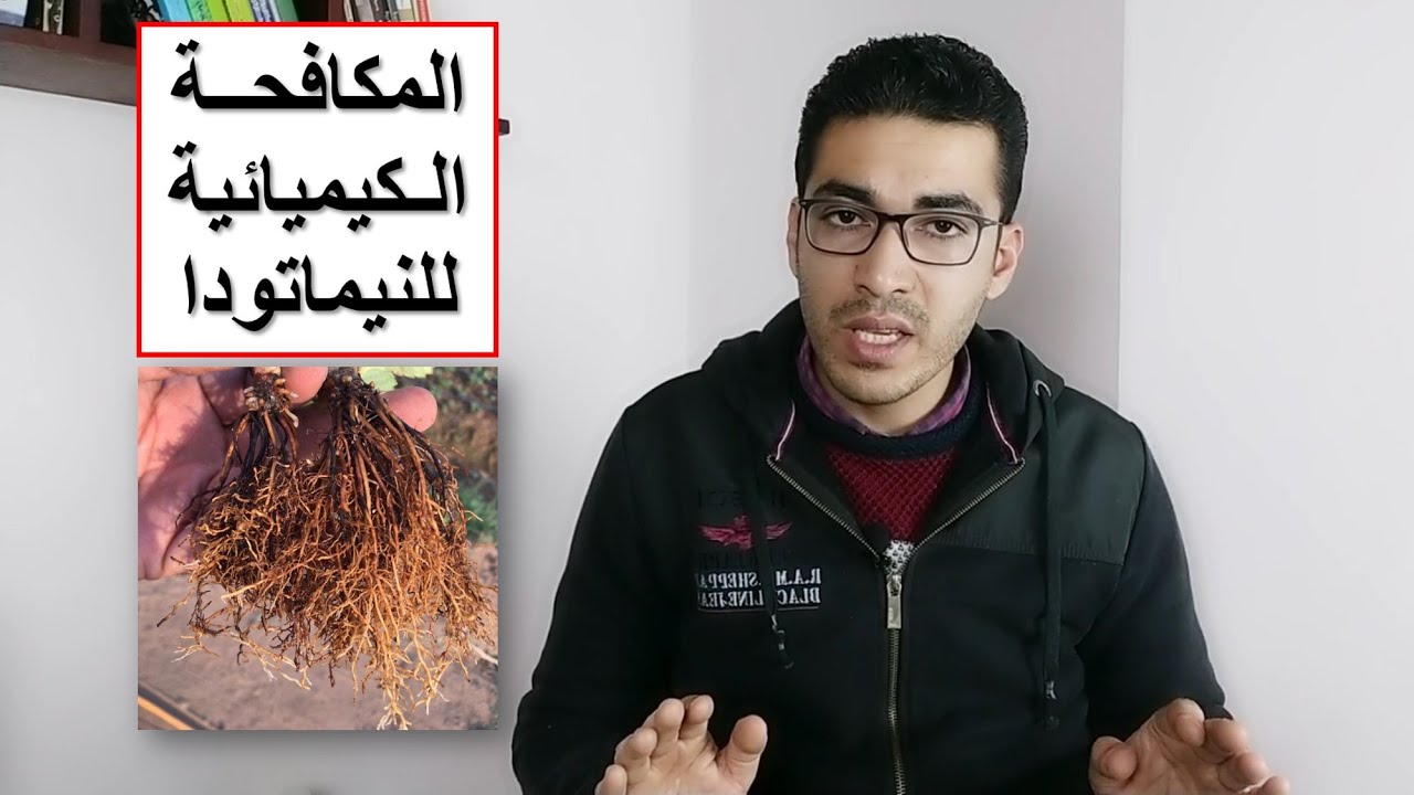الخلاصة فى المكافحة الكيميائية للنيماتودا
