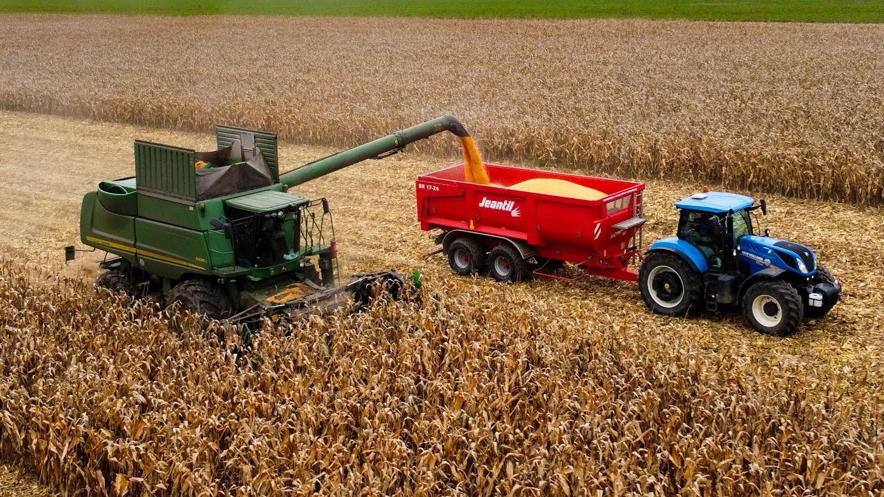 Žatva kukurice s John Deere S690i, New Holland T7.245