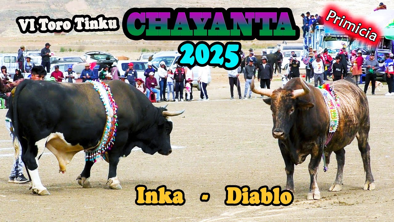 VI ToroTinku de CHAYANTA 2025, 1ra Ronda 