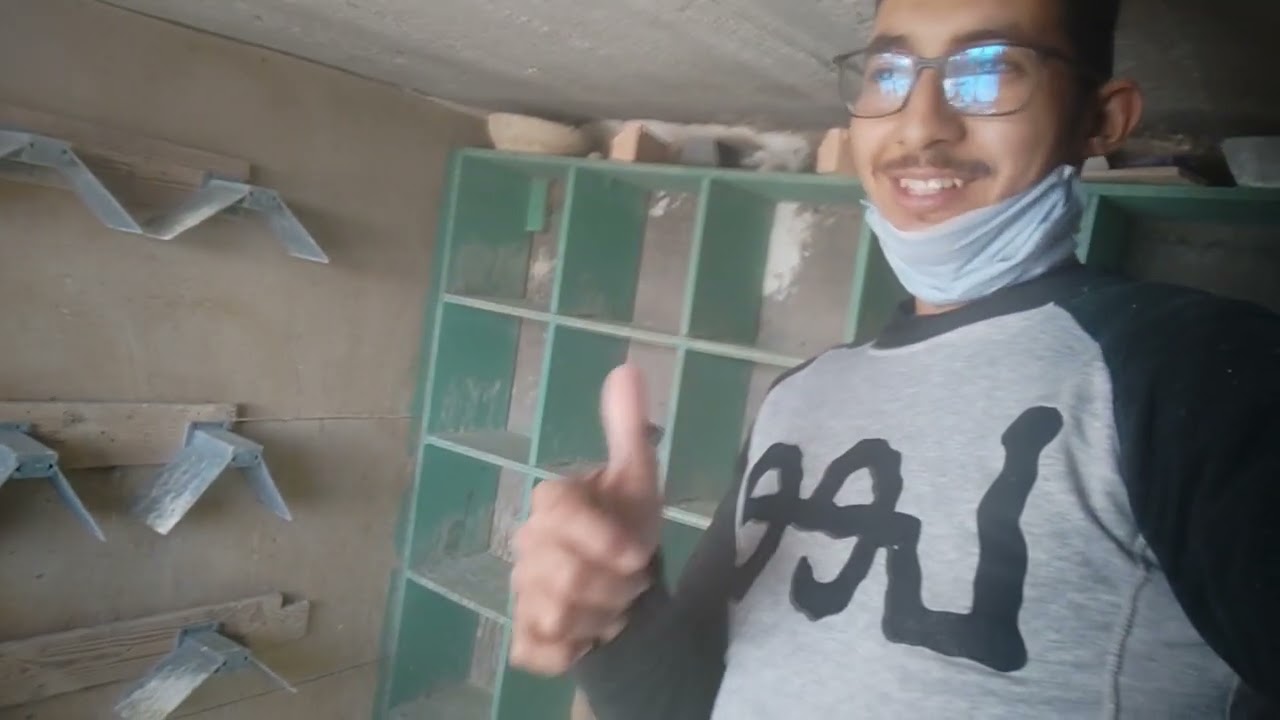 بعض المعلومات حول مادة الكارنتين و دوره لدى الحمام + تقديم عرق السوس و فوائده مع توليعة فالحميمات🕊️