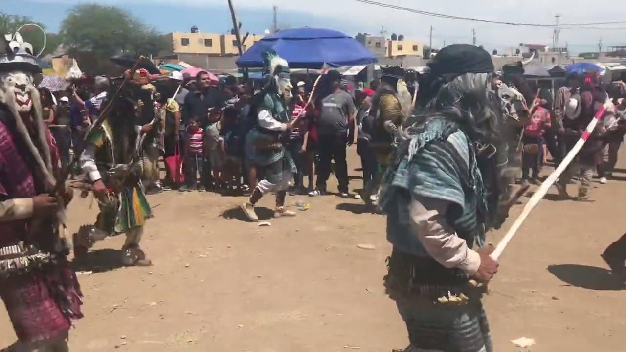 Fariseos y la Semana Santa Yaqui en Hermosillo. sábado de gloria 2023. Ramada de La Sauceda.