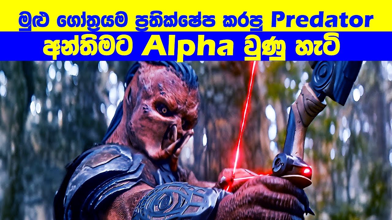 මුළු ගෝත්‍රයම ප්‍රතික්ෂේප කරපු Predator අන්තිමට Alpha වුණු හැටි 🔥 | Movie Review Sinhala