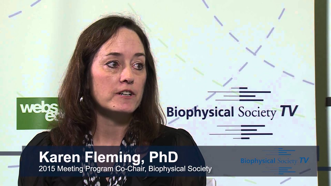 What's being planned for the 2015 Biophysical Society Annual Meeting?