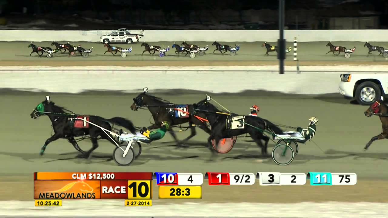 February 27, 2014 - Race 10 - Passionate Terror