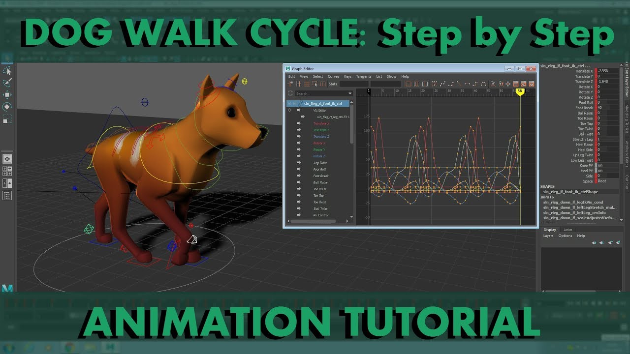 Dog walk cycle: Step by Step