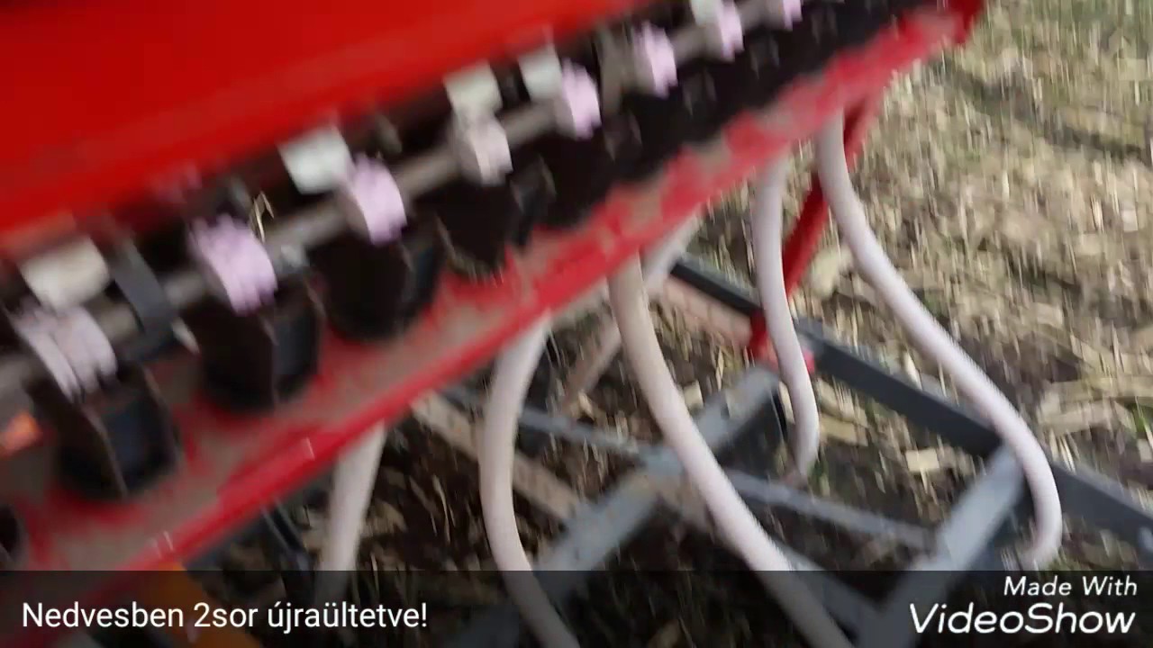 Rad csoroszlya Direkt vetés kukorica után