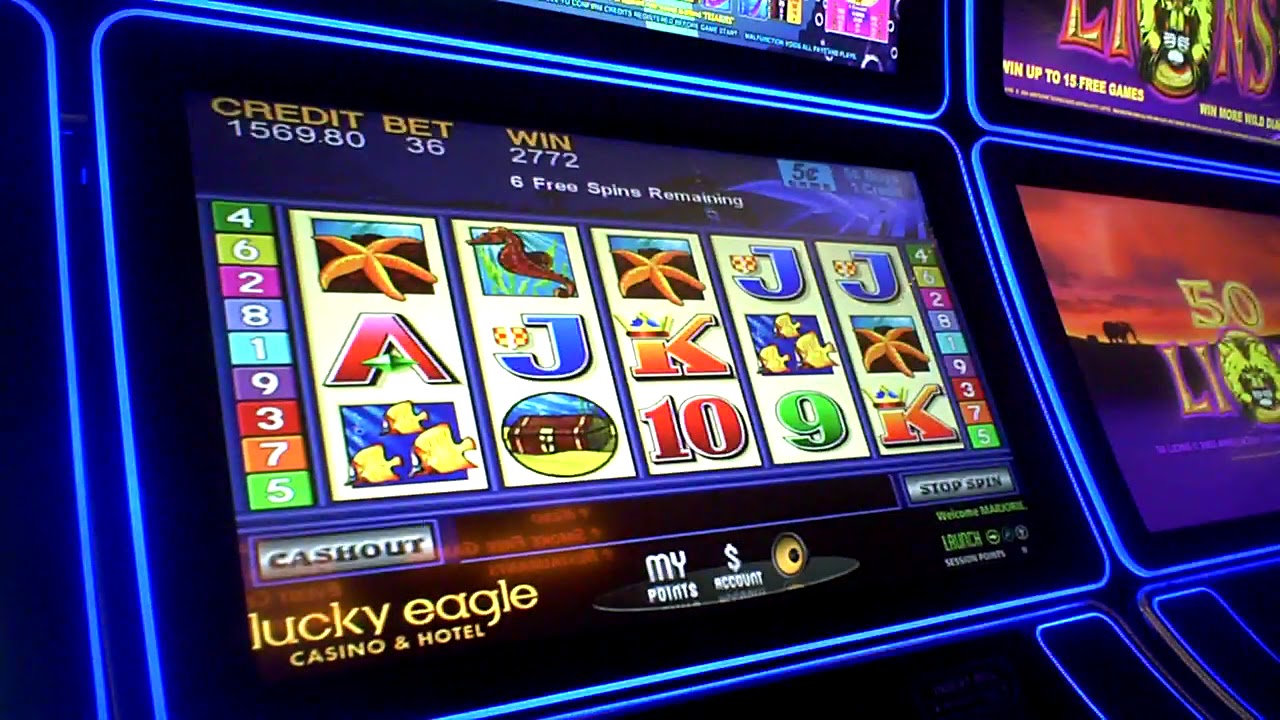 Dolphin Treasure Slot Machine BIG WIN Bonus