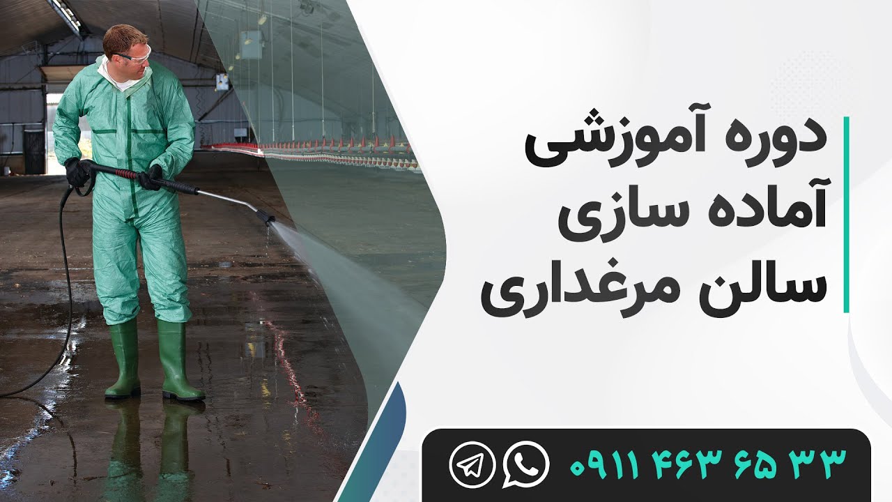 معرفی دوره آموزشی آماده سازی سالن پرورش مرغ گوشتی
