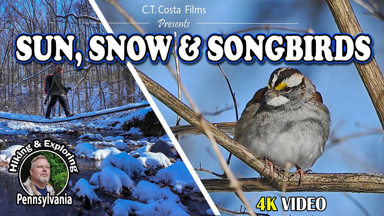 Snow, Sun, and Songbirds  |  Cinematic Winter Hike at the ChesLen Preserve