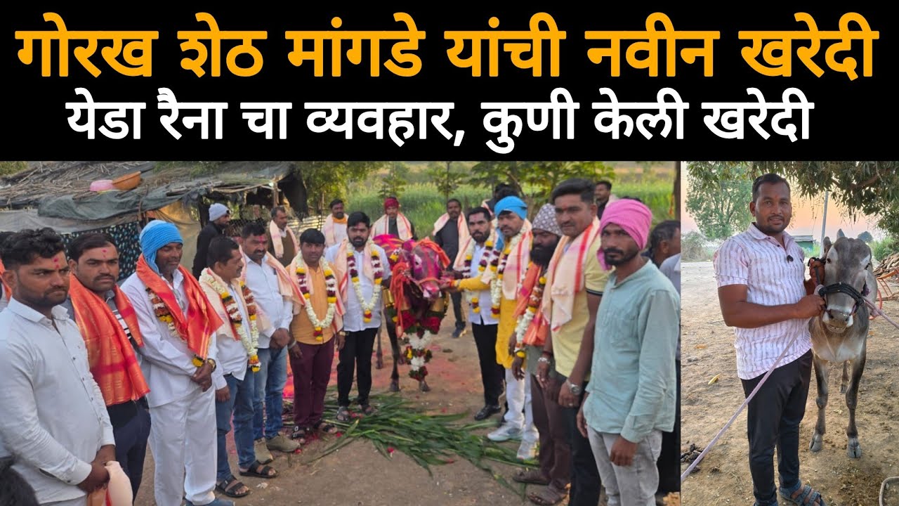 गोरख शेठ मांगडे यांची नवीन खरेदी | येडा रैना चा व्यवहार, कुणी केली खरेदी 