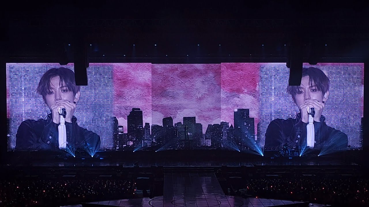 260104 Love Again Bungee 백현 Baekhyun World Tour Reverie Dot Day3