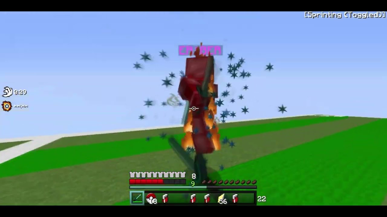 ER1BER