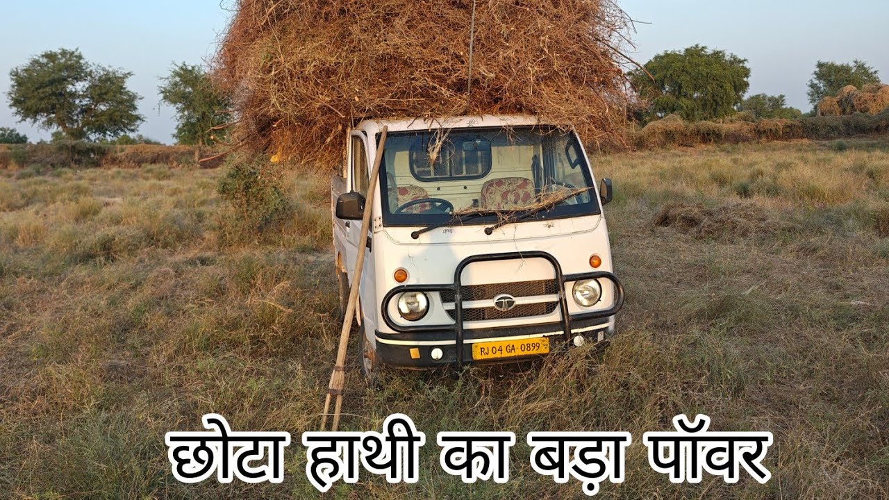 Tata ace mini off-road 😁 , छोटा हाथी बड़ा पावर #tata #tataace #chotahathi 