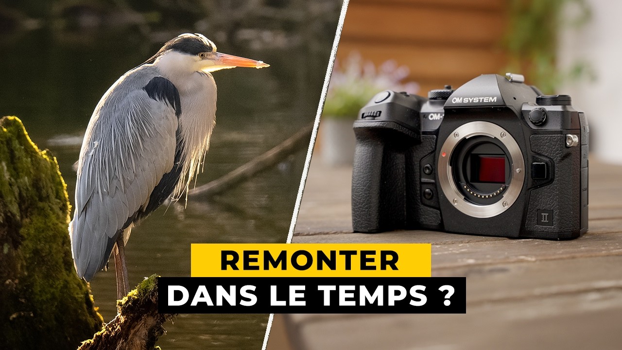 Un boîtier SURPRENANT pour la photo animalière ! Test OM-1 Mark II