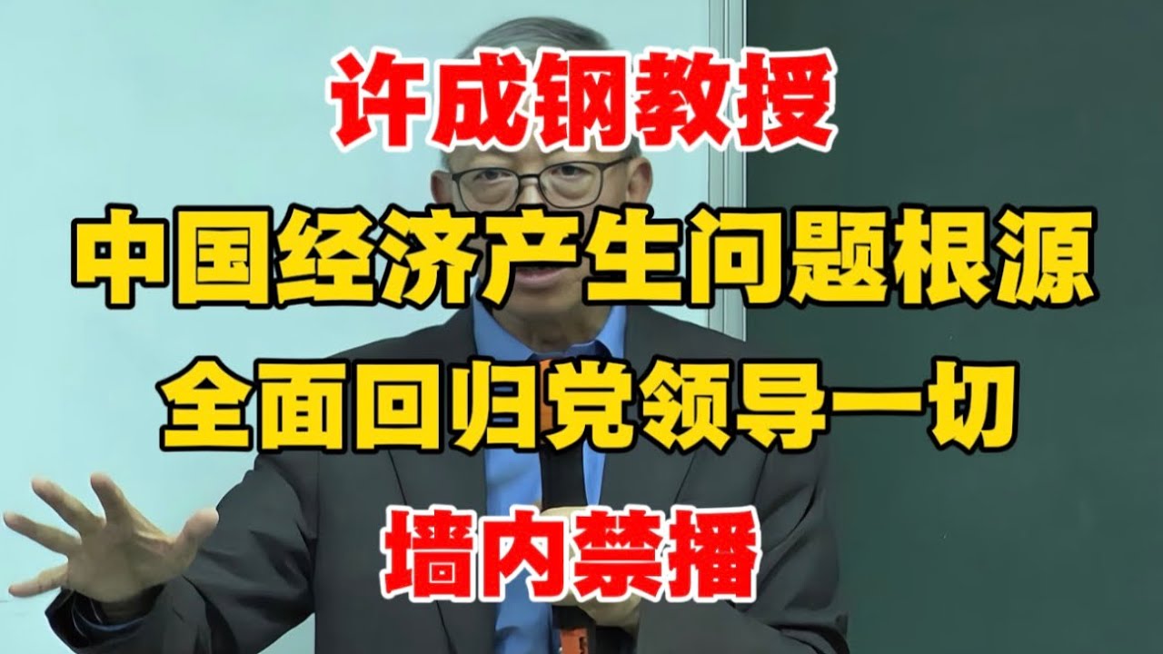 【墙内禁播】许成钢教授：中国经济产生问题的根源，全面回归党领导一切！