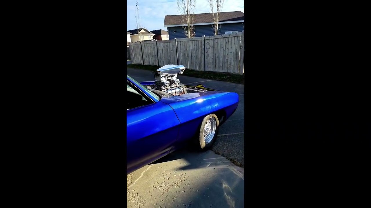 My GTO project 