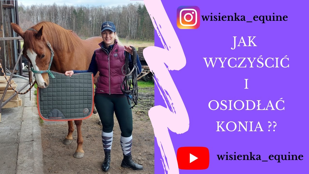 Jak wyczyścić i osiodłać konia ?? 🤔