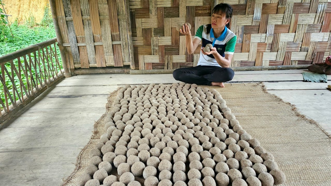 Alone Build a farm, Making wine yeast from herbs in the forest | Bàn Thị Diết