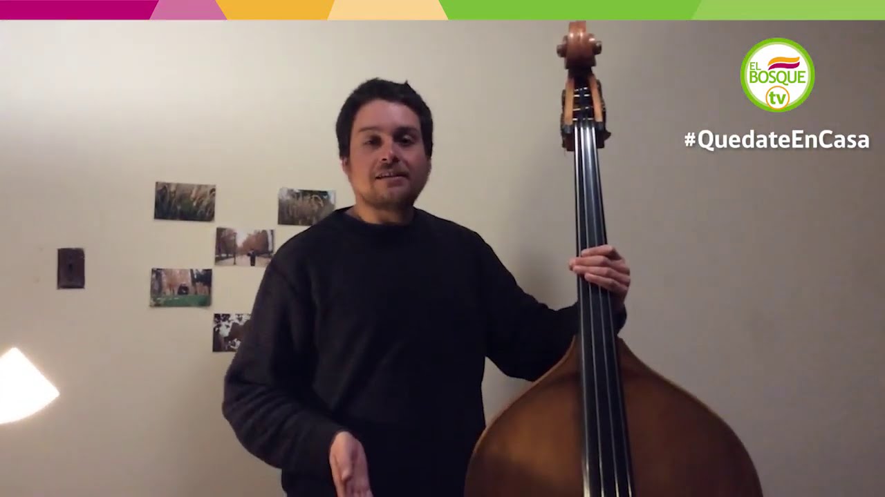 Contrabajo - Clase 2: Partes del contrabajo (segunda parte)