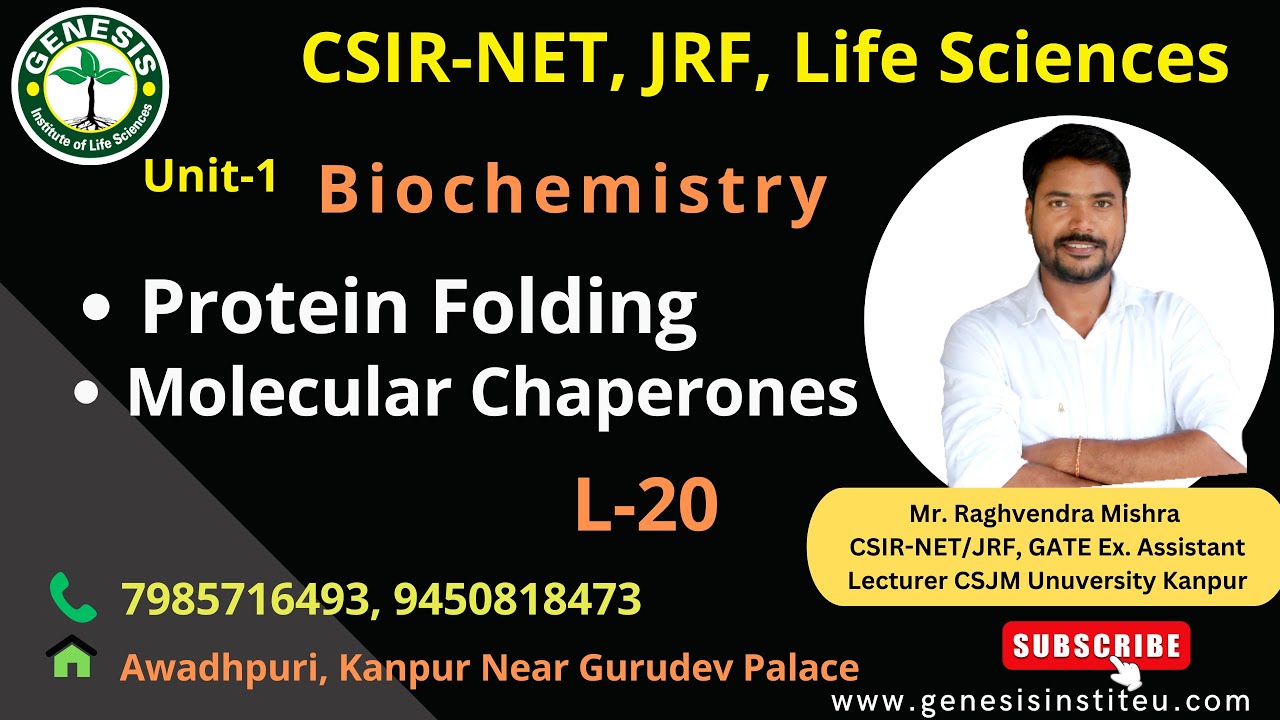 Protein Folding | Molecular Chaperones | Structure of Proteins | Biochemistry#genesis_institute