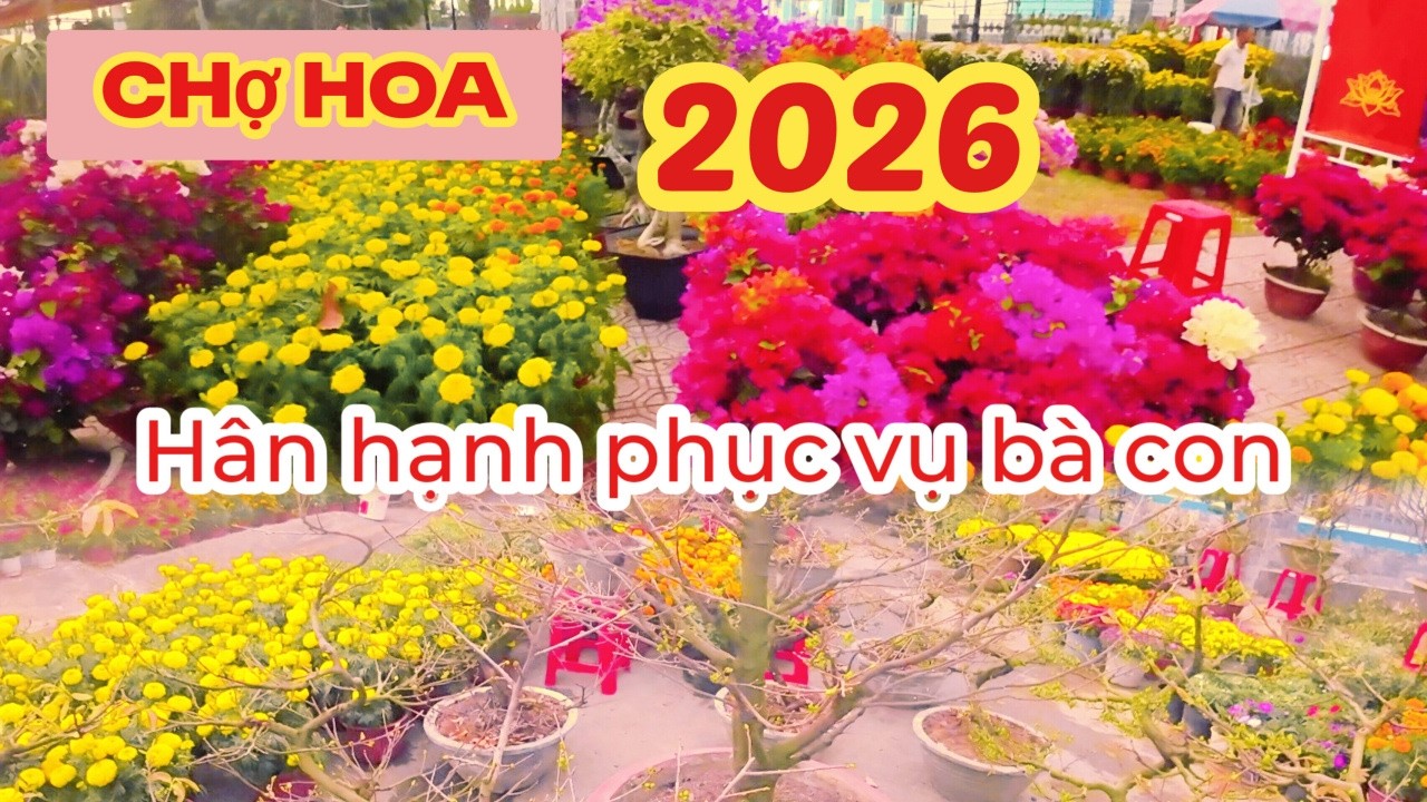 CHỢ HOA 2026 RỰC RỠ TRONG NGÀY HÔM NAY