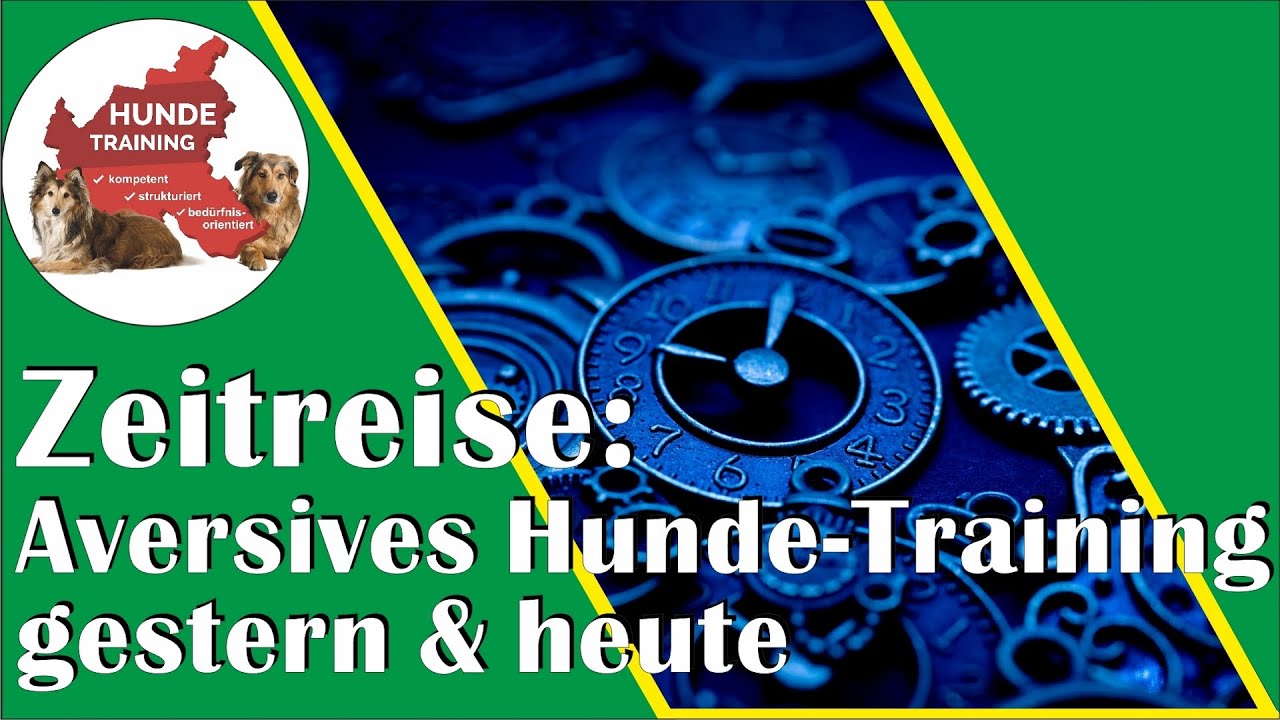 Veraltete Erziehungsmethoden bei Hunden erkennen: Ein Sensibilisierungskurs für moderne Hundehalter!