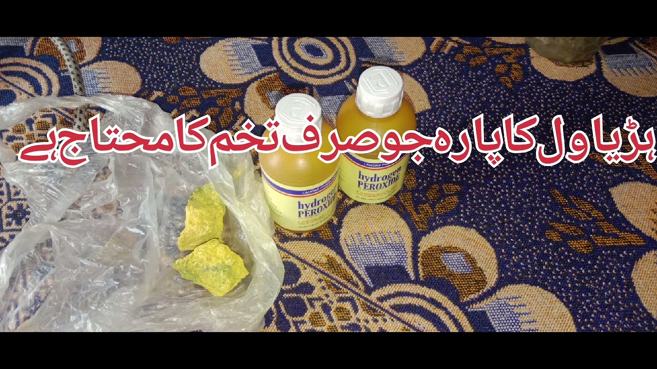 ہڑیاول کا پارہ جس کو تخم دو اور بازار کرو۔