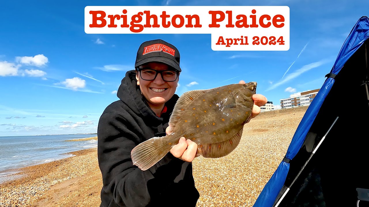 Brighton Plaice, April 2024