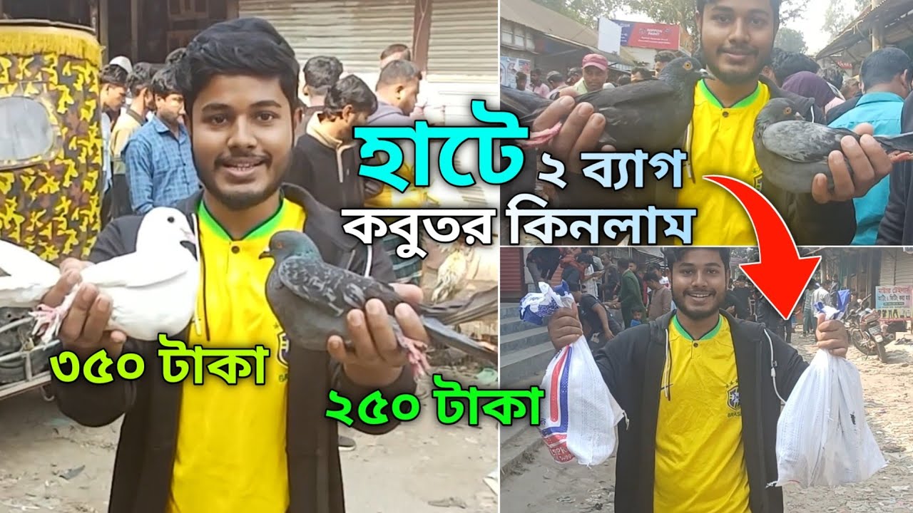 হাট থেকে ৭টা দেশি কবুতর কিনলাম | রুহিতপুর কবুতরের হাট | তিনজন সাতটা কবুতর কিনলাম