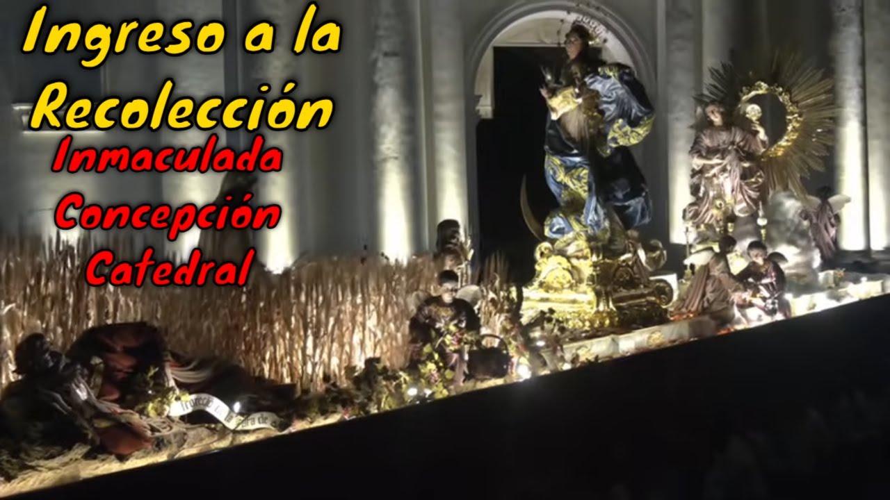 INMACULADA CONCEPCIÓN CATEDRAL 🔴 Recolección Visita al Templo Rezado 2025