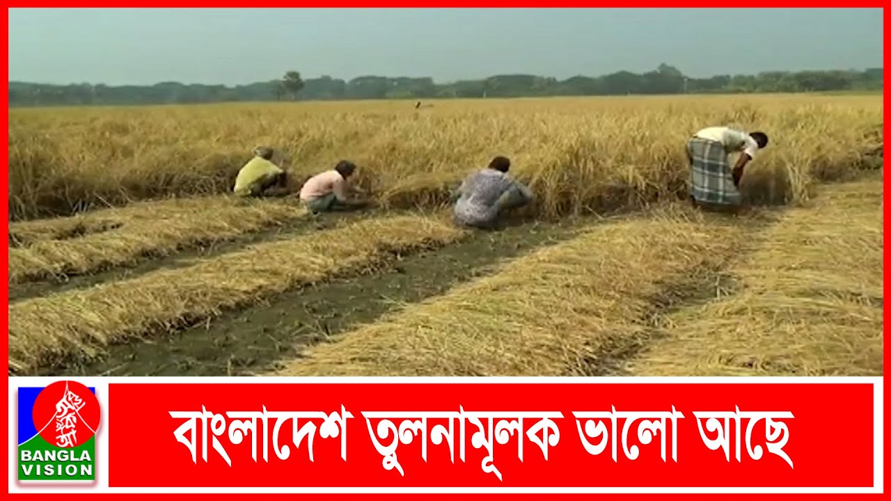 বাংলাদেশে খাদ্য ঘাটতি নেই: বিশ্বব্যাংক | BVNEWS24