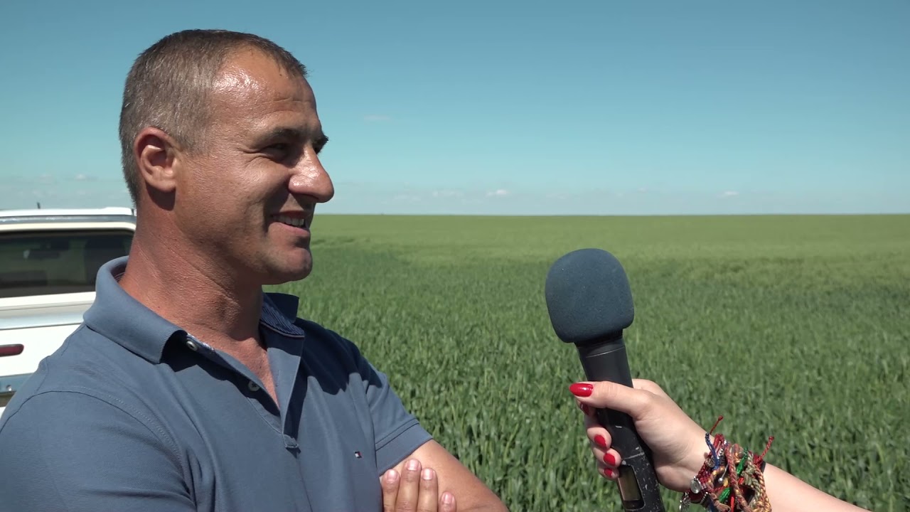 Testimonial Ioniță Dumitru - Microplant și AzoSpeed Amino la grâu și orz, rezultat spectaculos!