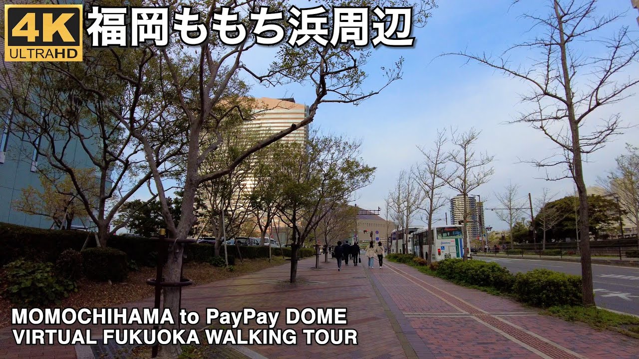 福岡百道浜からドーム4k virtual Fukuoka walking tour from Momochihama to PayPay Dome