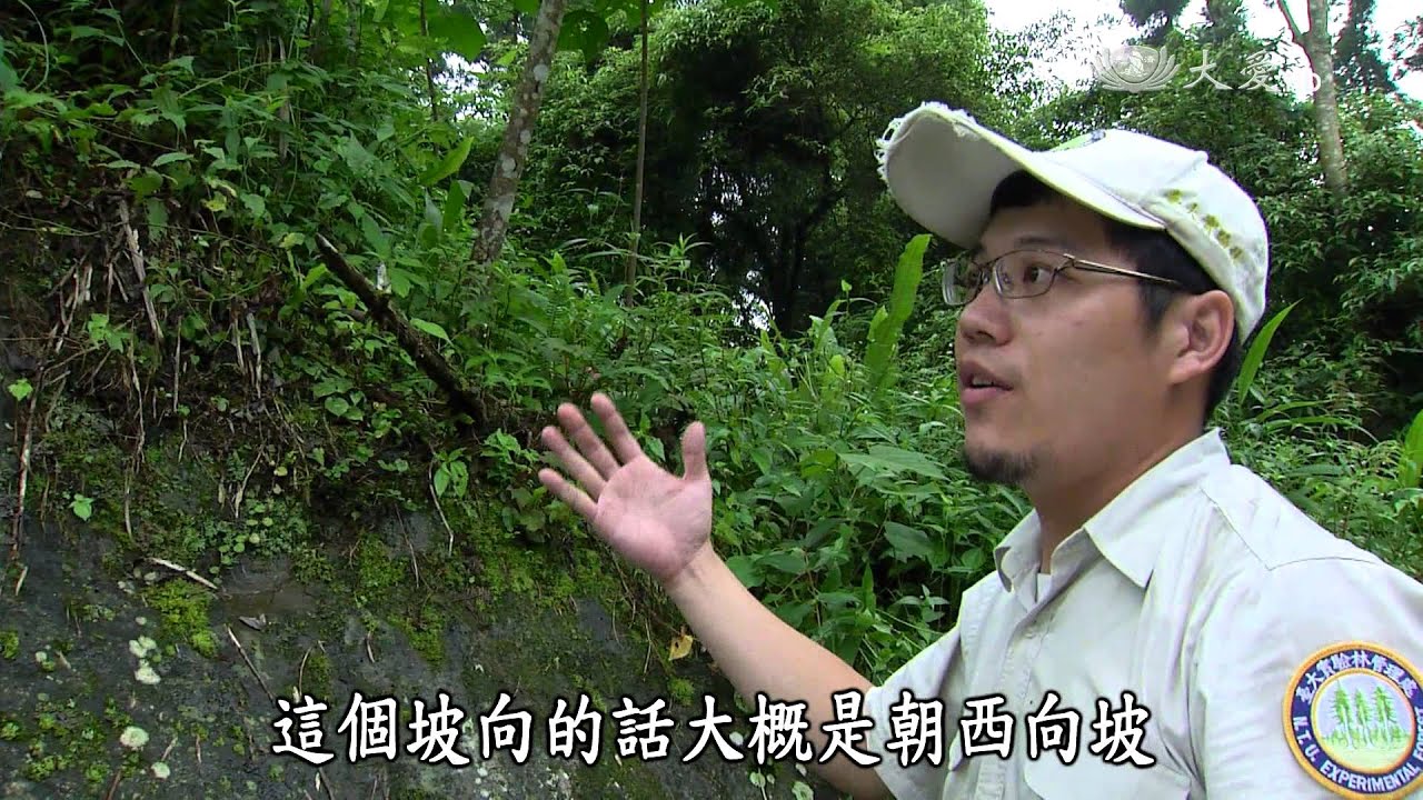 【發現】20151003 - 繽紛與隕落 臺灣原生蘭