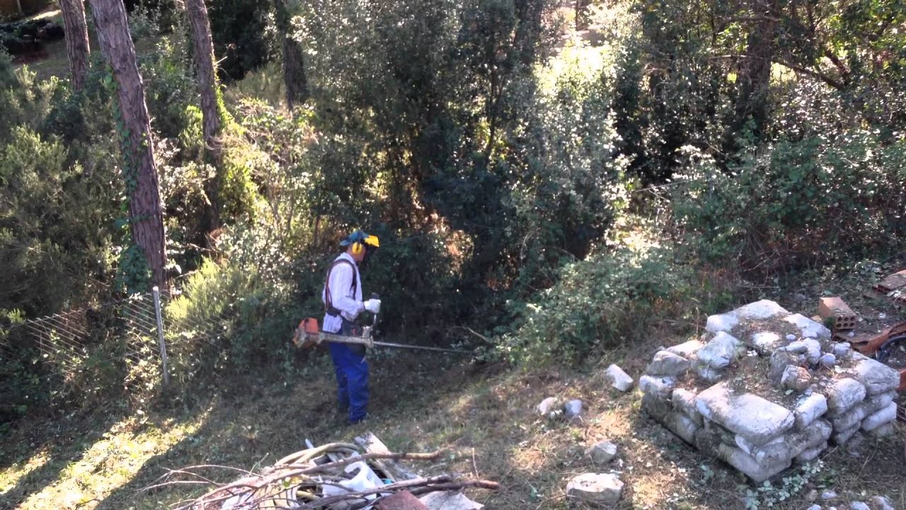 Stihl desbroce  parcela de zarzas con hilo part.2
