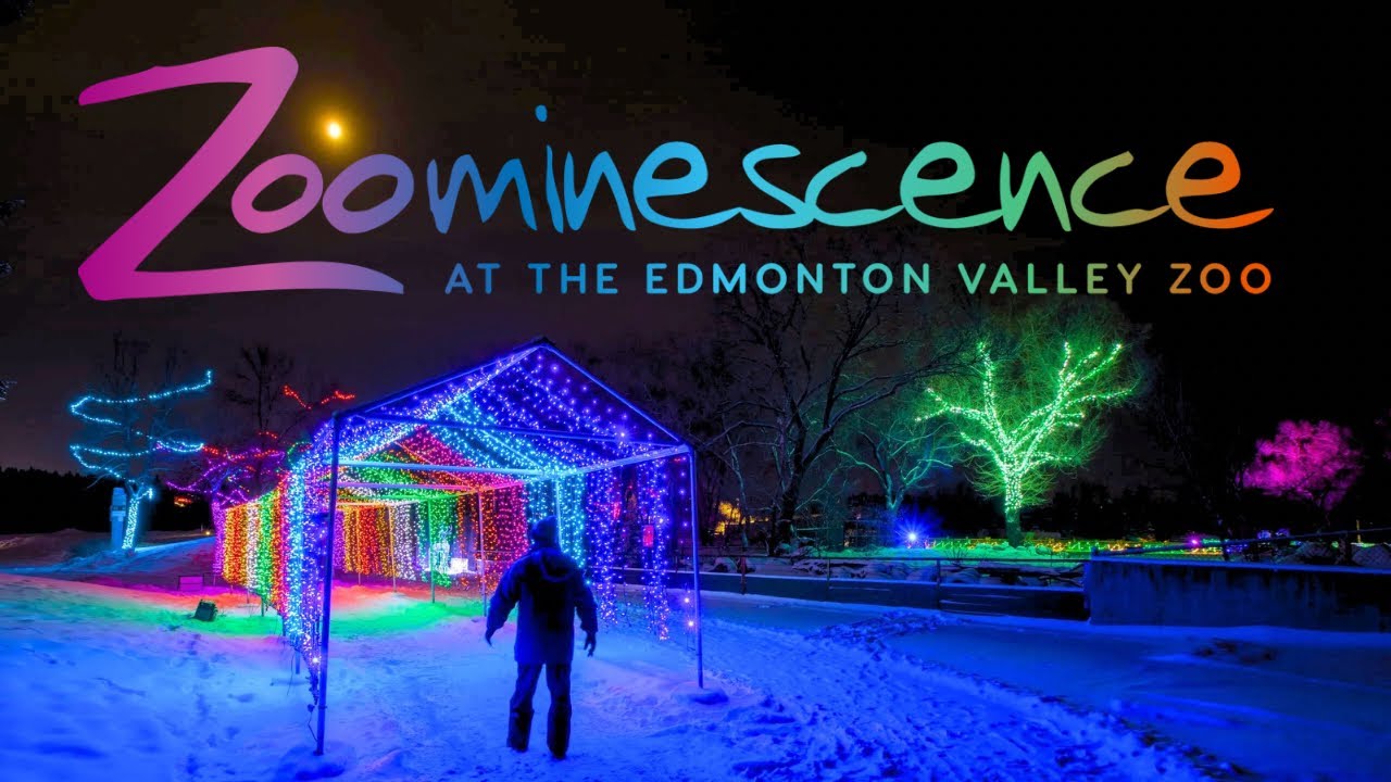 Zoominescence ✨ Nature in Motion | Edmonton Valley Zoo Part 2