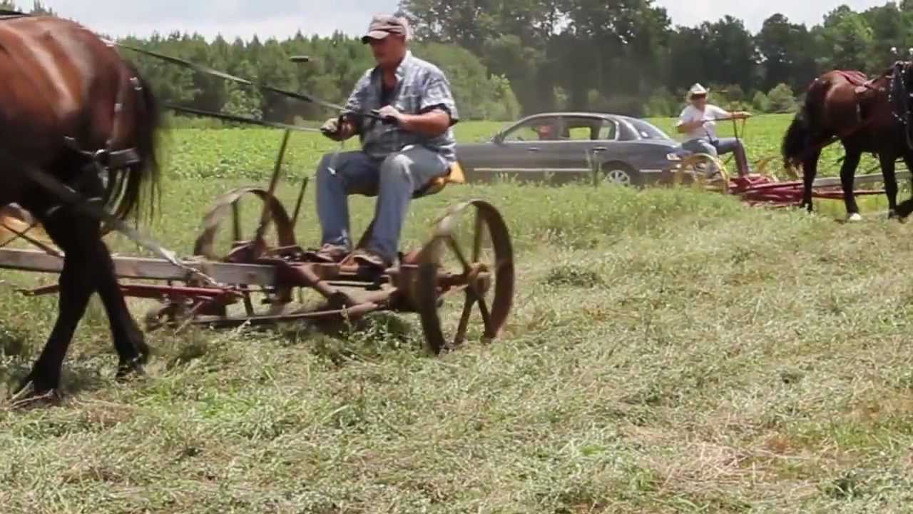 Hay Mowing Bertie County