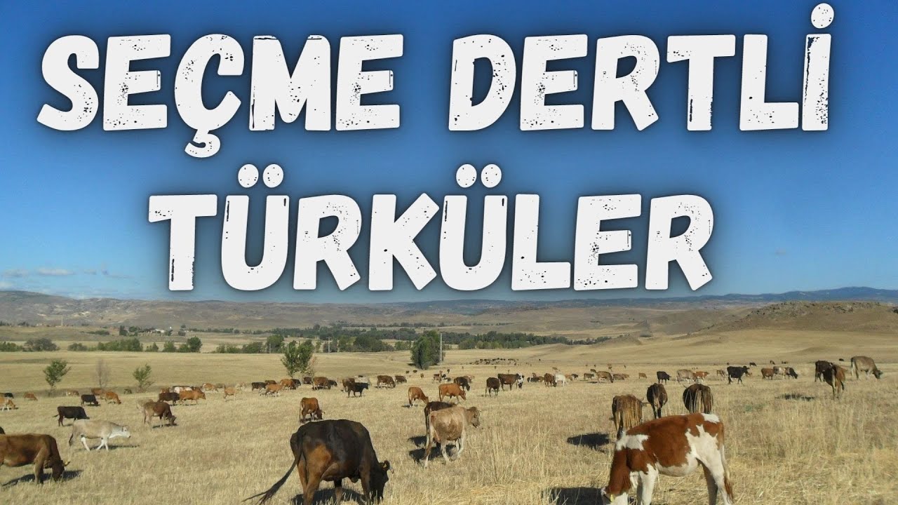 Derdim Yüreğimde - Ağlatacak Kadar Güzel Türküler.!!! Gözyaşartan Harika Türküler✔️