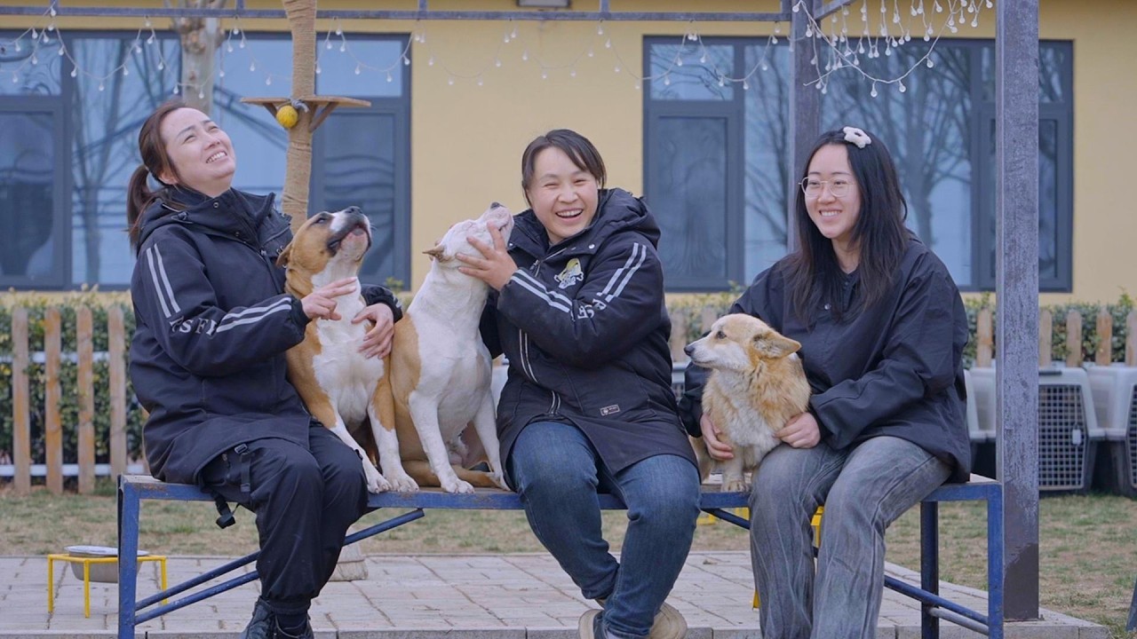 因为喜欢狗，我们才走到一起！\We became a team because we love dogs