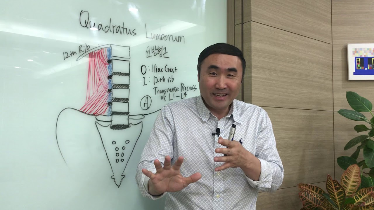 [홍정기교수의 고급기능해부학] 요방형근편